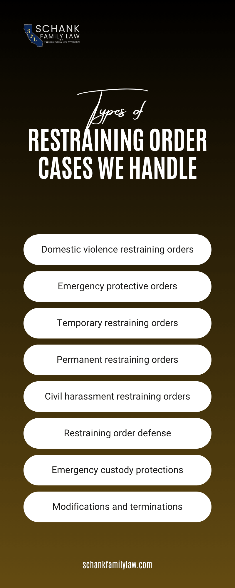 Restraining Order Cases We Handle Infographic