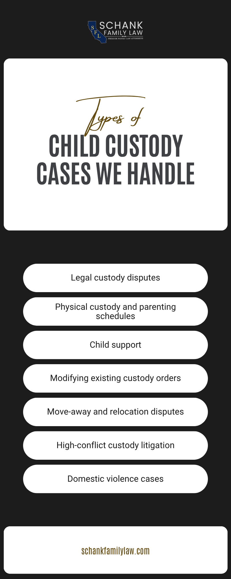 Child Custody Cases We Handle Infographic