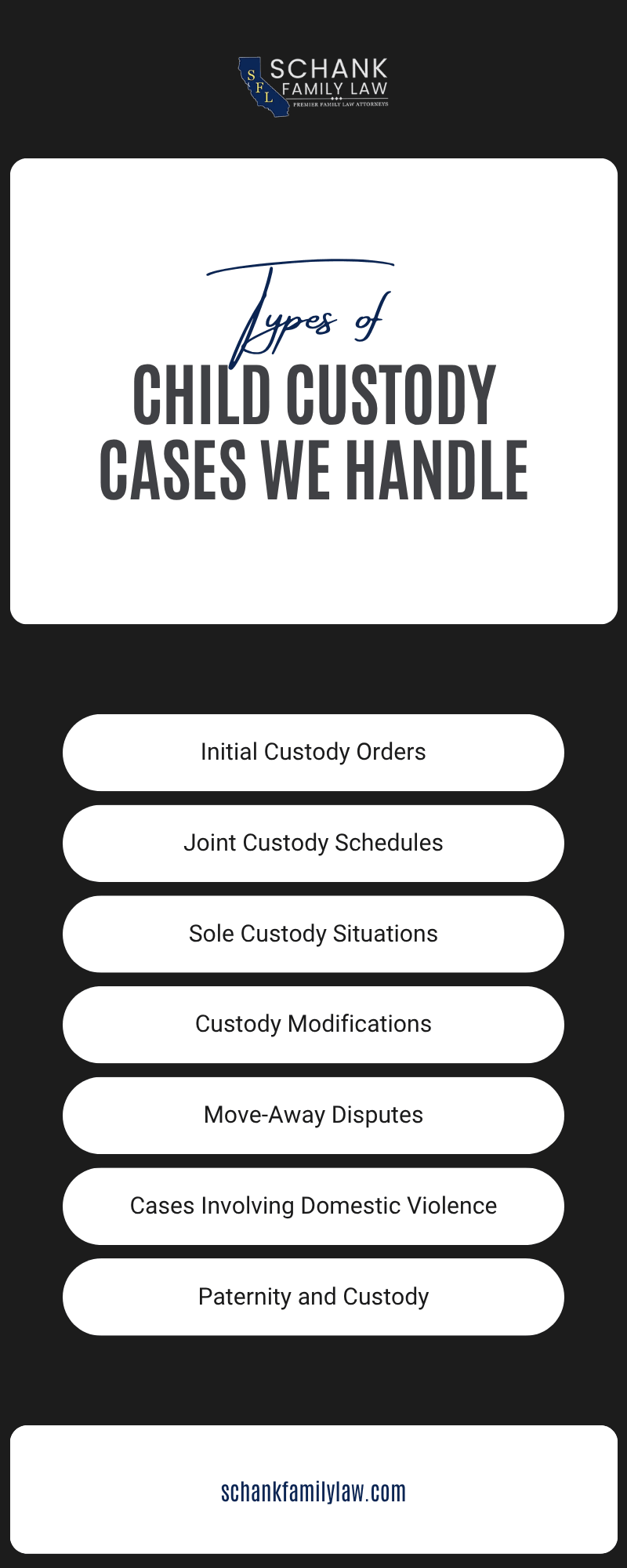 Child Custody Cases We Handle Infographic